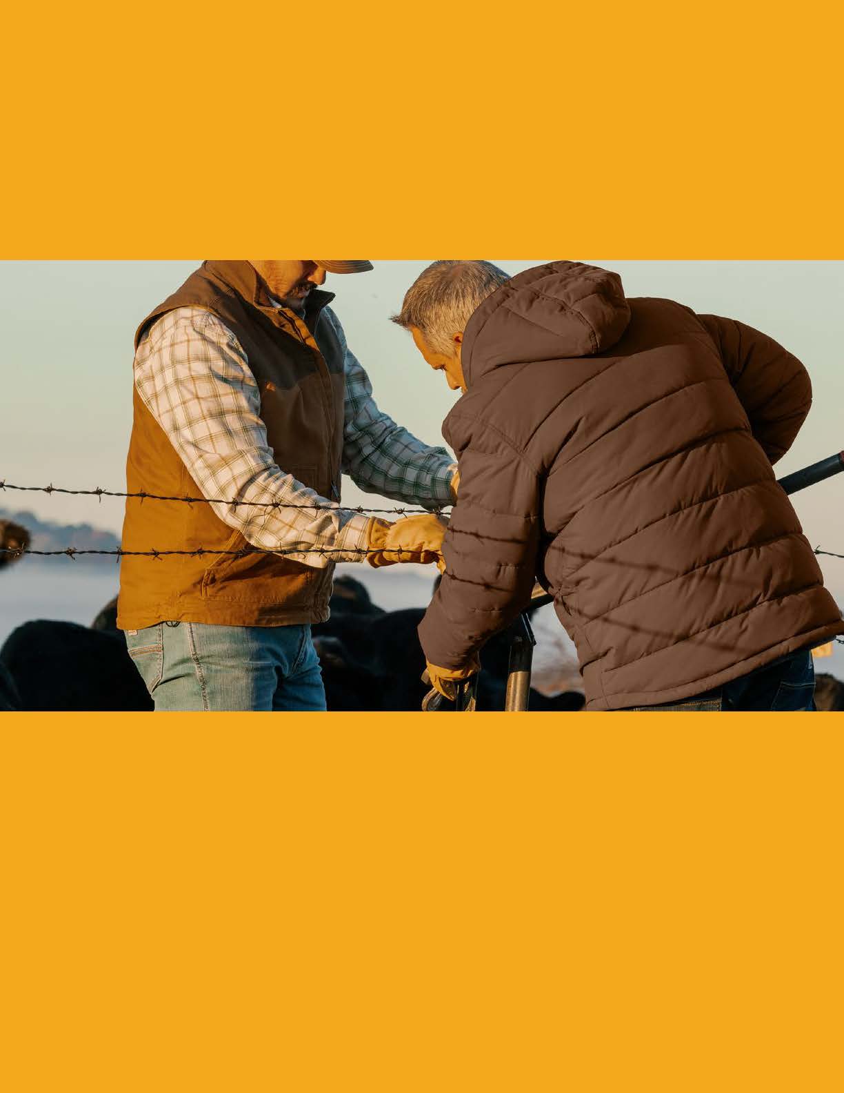 Digital Catalog - Carhartt 2025 NEW (2026 Items) - Etchified - Carhartt - DigitalCatalog_Carhartt2025