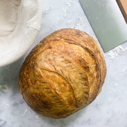 FarmSteady Sourdough Bread Winner Kit - Etchified - Gourmet Expressions - 102793-102793-001