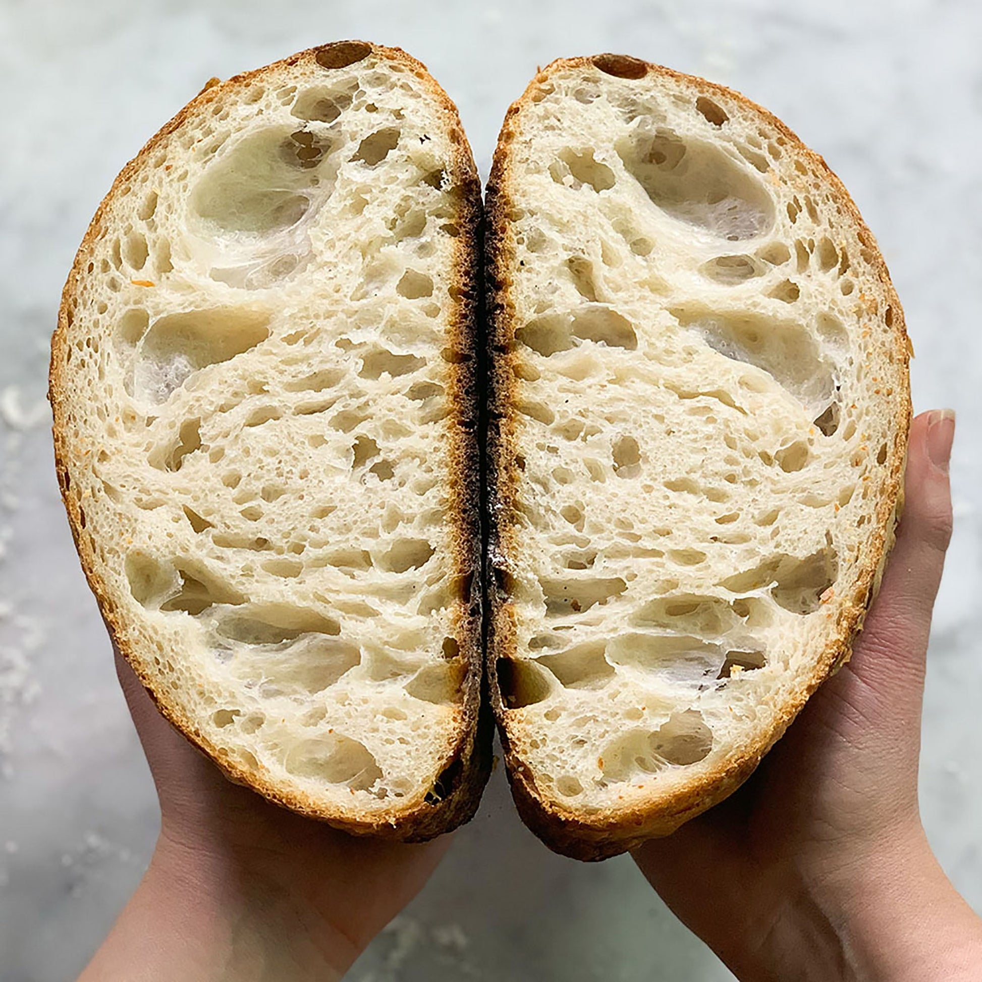 FarmSteady Sourdough Bread Winner Kit - Etchified - Gourmet Expressions - 102793-102793-001