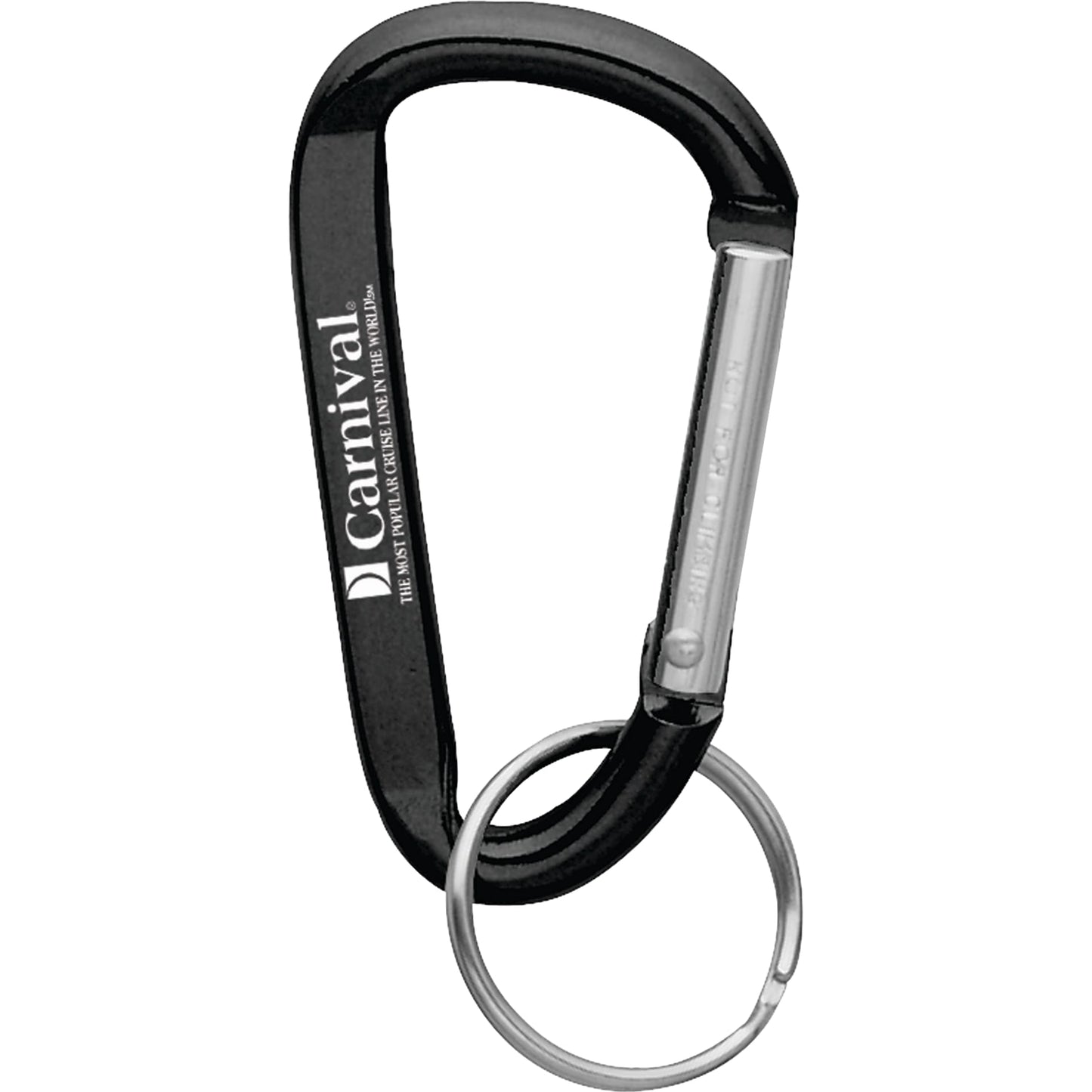 Small Carabiner Key Ring - Etchified - Etchified - SM-2348RE
