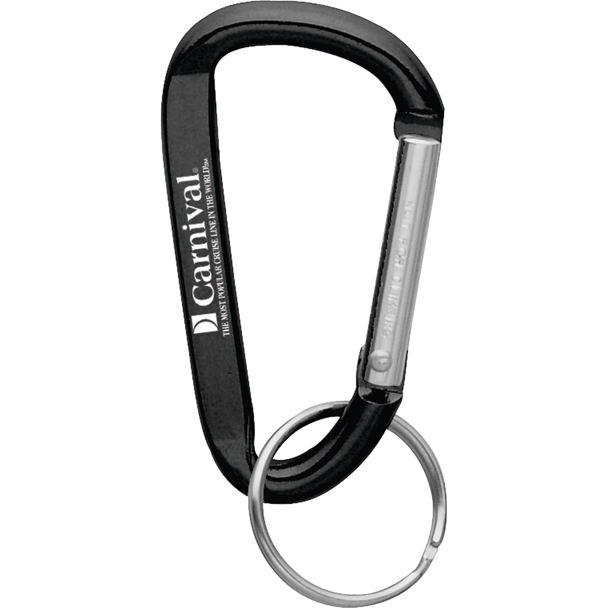 Small Carabiner Key Ring - Etchified - Etchified - SM-2348RE