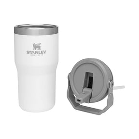 Stanley IceFlow 1.0 Flip Straw Tumbler 20 oz with Full Color Print - Etchified-Stanley-1603-24PLR