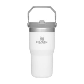 Stanley IceFlow 1.0 Flip Straw Tumbler 20 oz with Full Color Print - Etchified-Stanley-1603-24PLR