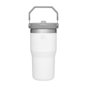 Stanley IceFlow 1.0 Flip Straw Tumbler 20 oz with Full Color Print - Etchified-Stanley-1603-24PLR