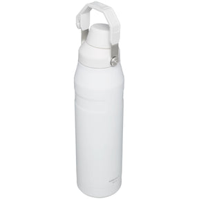 Stanley IceFlow Bottle with Fast Flow Lid 36 oz with Full Color Print - Etchified-Stanley-1603-35PLR