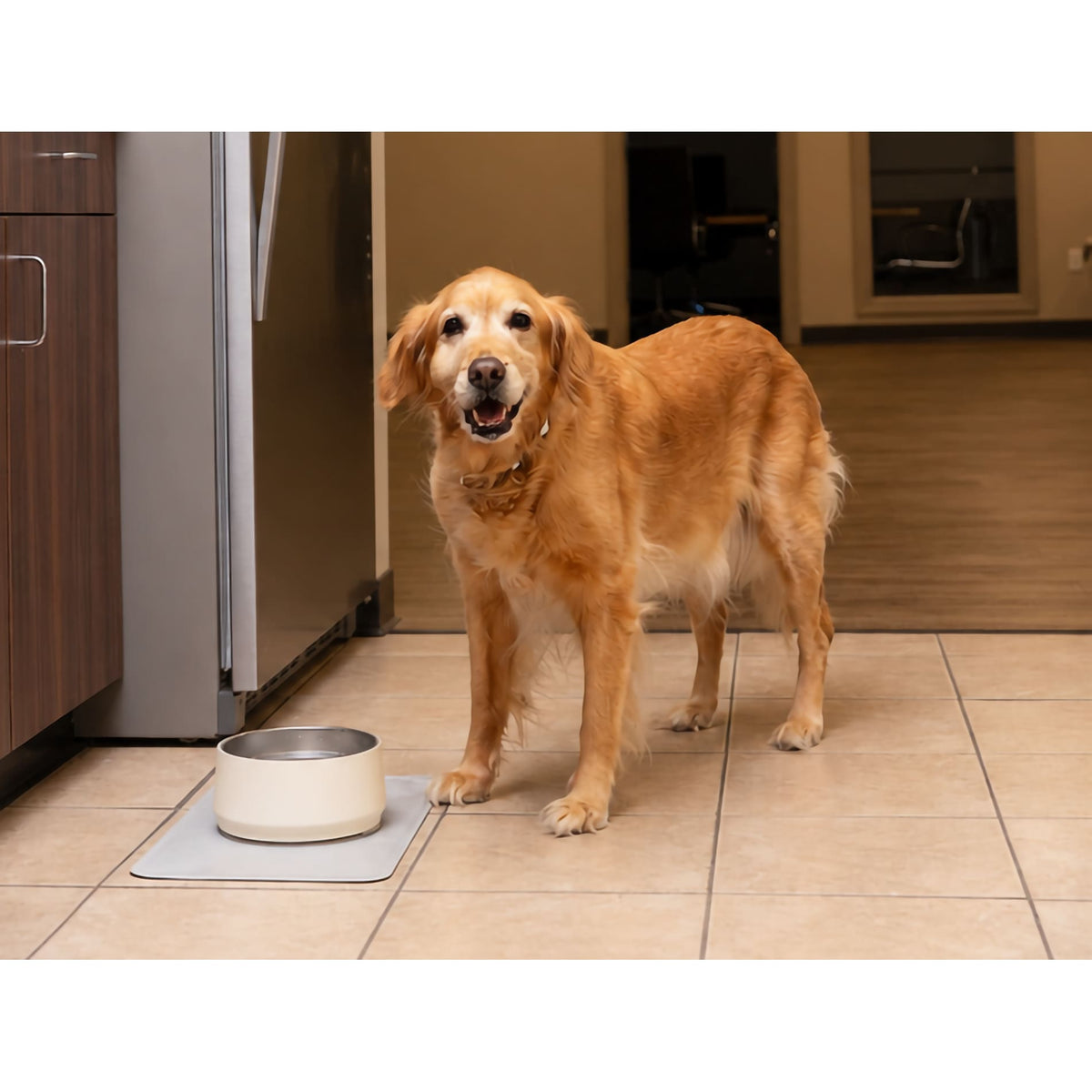 Stanley Pet Bowl 6 Cup with One Color Print - Etchified-Stanley-1603-81CR