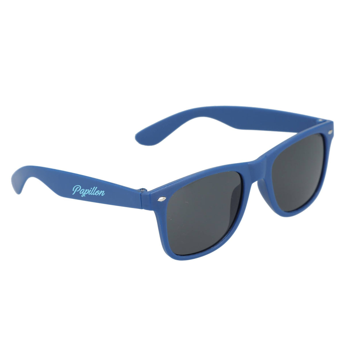 Sun Ray Recycled Sunglasses - Etchified - Etchified - SM-7924BL