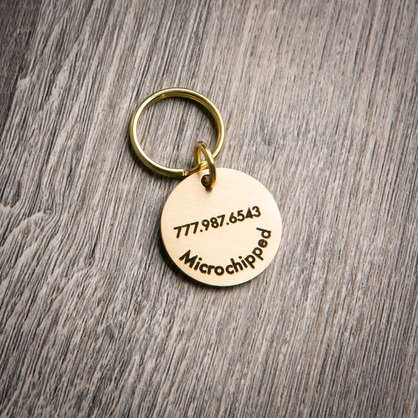 Personalized Brass Pet Tag - Round - Etchified-Etchified-PT-RND-SM